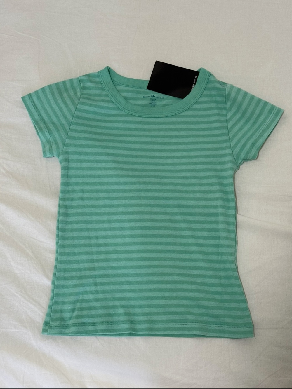 BNWT Brandy Melville Ashlyn Teal
Striped Top